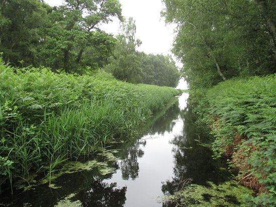 Holme Fen National Nature Reserve